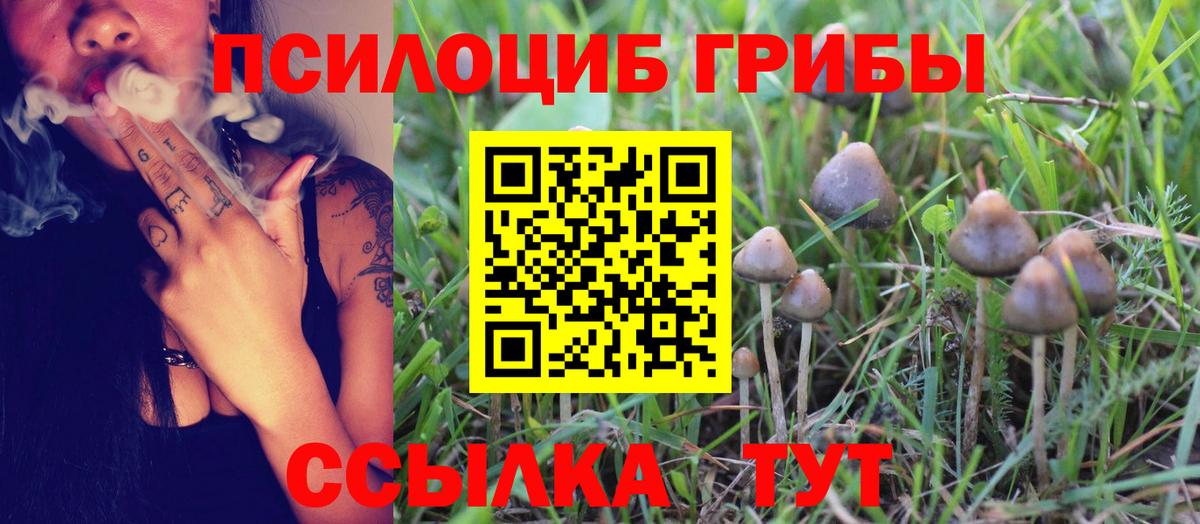 Псилоцибиновые грибы мухоморы Обь