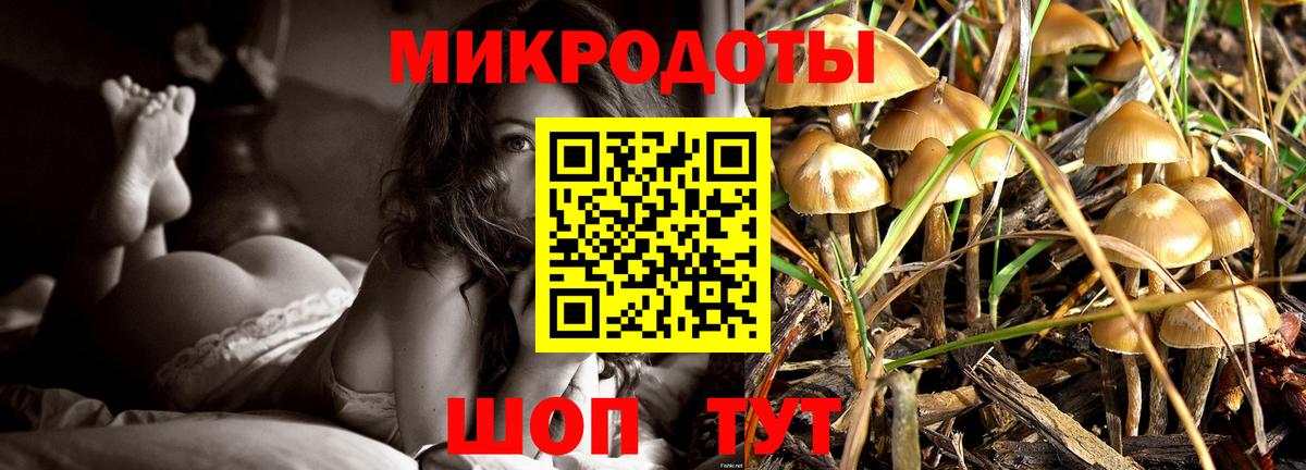 Обь  Псилоцибиновые грибы Cubensis  Вход с VPN 